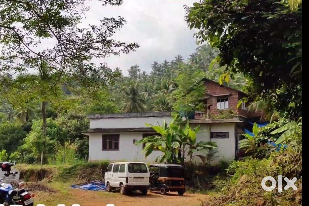 10.27 cents land for sale in kattungal, Malappuram