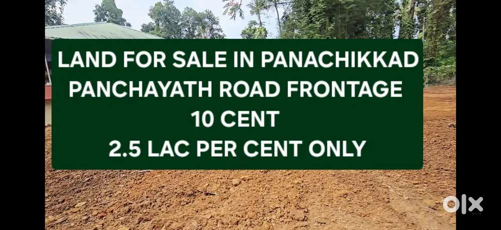 10 cent Land for sale in Panachikkadu