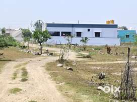 URGENT PLOT RESALE  IN GUDUVANCHERI