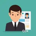 Collection Executive