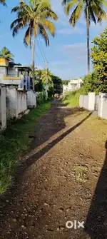 7 CENT HOUSE PLOT AVAILABLE NEAR NEMMARA PALKKAD