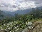Land for sell in Kalimpong, Santook Algarah area