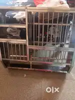 I selling plate stand