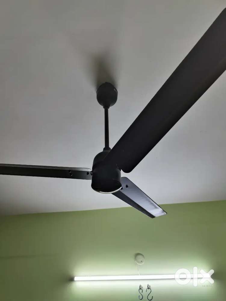 Ceiling Fan (6 Nos)