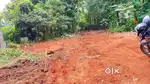 20 cent plot