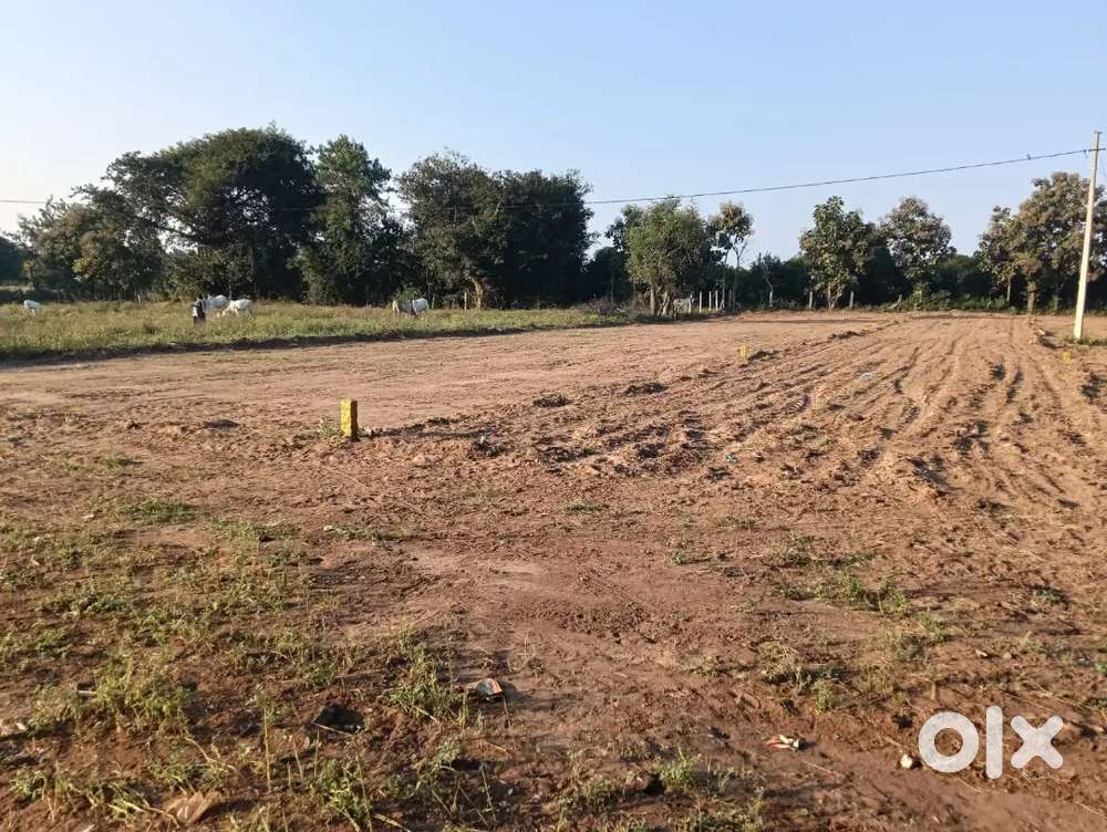 E -World Liberty Farms