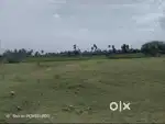 Premium South Facing Plot – Just ₹1100/Sq.Ft! Maraimalainagar