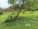 80 Cents land for Sale Anthony Katte 5km from Mangalore Airport