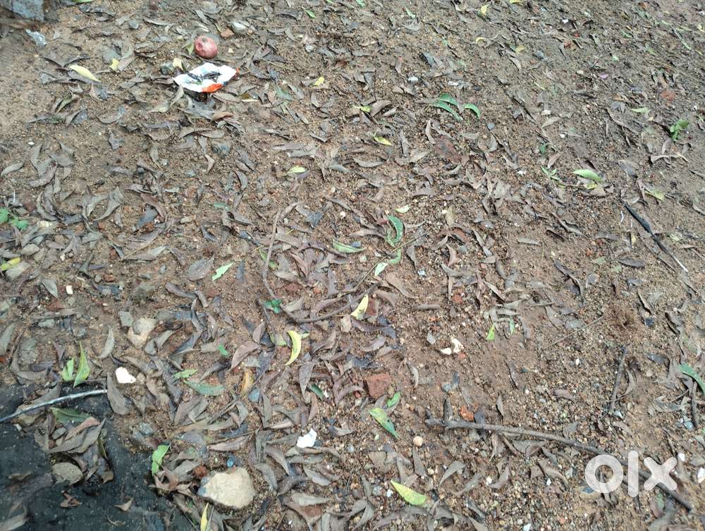 38000sqft. Land  near Perambur. Is for sale