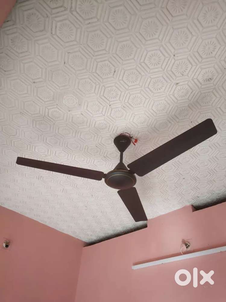 VGuard Celing fans
