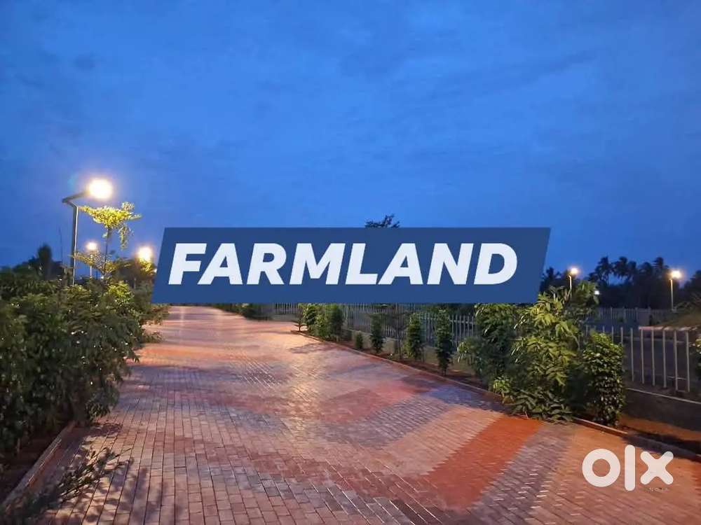 Farmland sale in Othakalmandabam fast moving