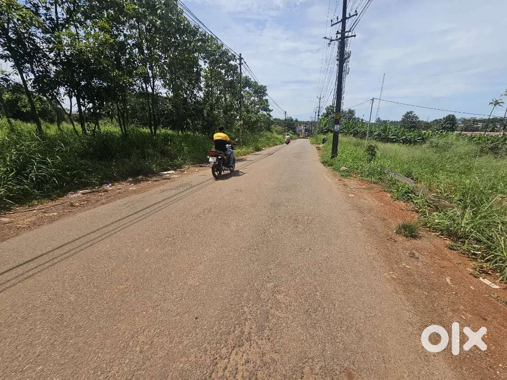 Aluva a lameen college 13cent land for sale