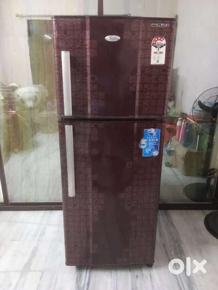 dubal door fridge
