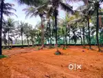 Aluva UC college kadungallur road ₹32 lakh home for sale