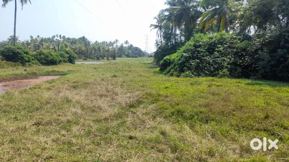 Investment Opportunity and Spacious land on the upcoming canal road