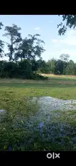 5 Bigha 3 Katha miyadi land sale