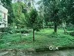 മാമൂട്, വായനശാല