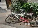 Urgent selling  Bicycle at 1550