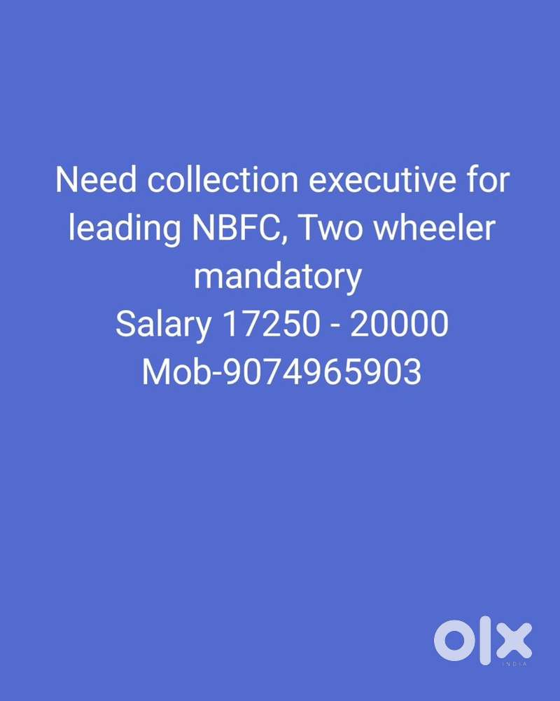 Collection executive