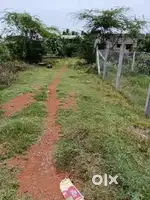 Wacking distance mayiladuthurai collector office