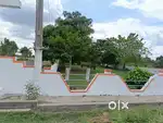 CRDA Approved Open Plots For Sale at Kanchikacharla # Sq.yd at Rs.9000