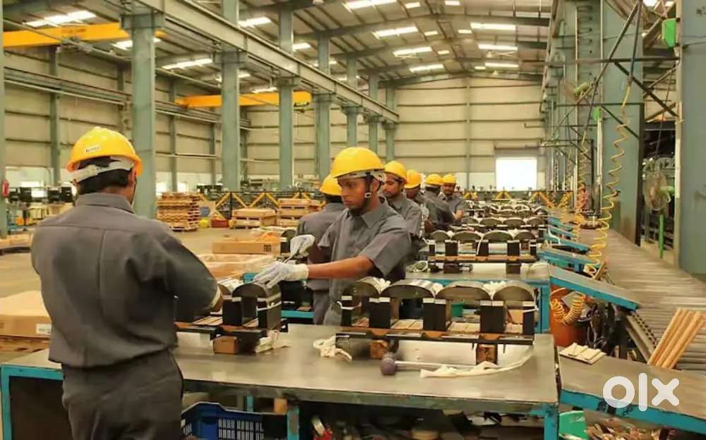 Urgently hiring freshers in warehouse company