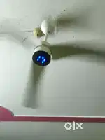 AtombergRenesa + Celling  Fan