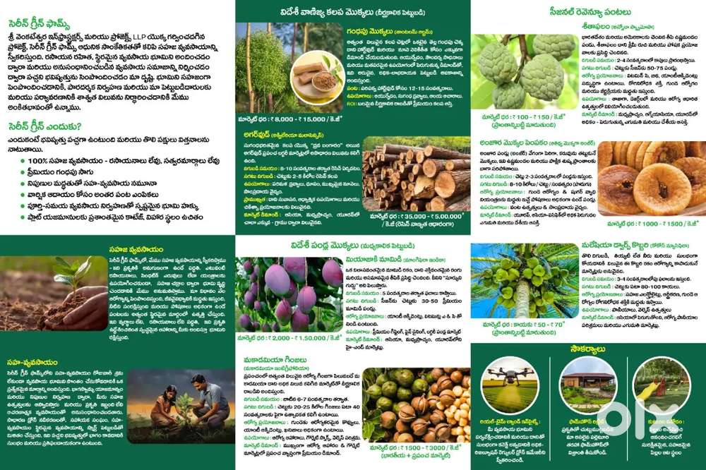 Premium plots @ visakhapatnam