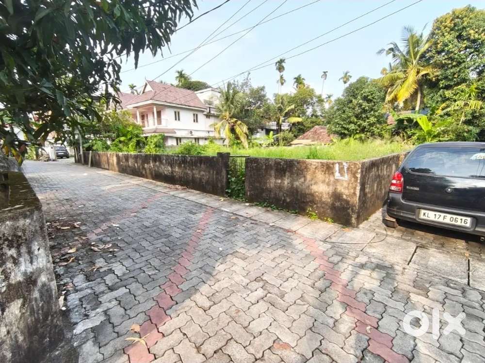 14.5 cent 21 lakhs slightly negotiable urgent sale kaloor mamangalam