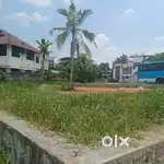 15 CENT LAND FOR SALE AT INFOPARK PHASETO