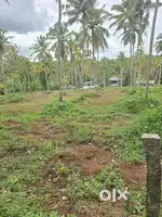 2ACRE LAND URGENT SALE VATTAPPARA VETTINADU 700MTR MC ROAD