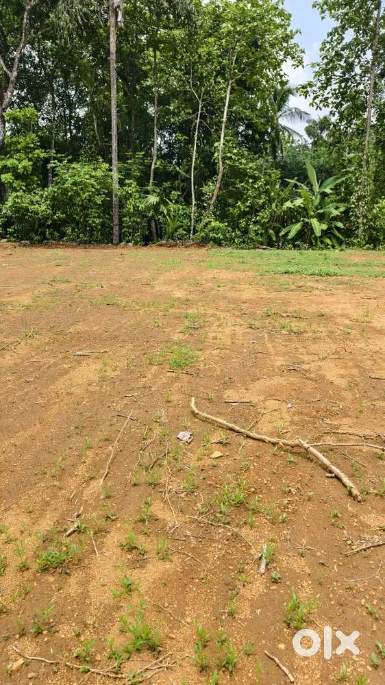 പാലാ തൊടുപുഴ ഹൈവേയിൽ ഹൗസ് പ്ലോട്ടുകൾ വിൽപ്പനയ്ക്ക്