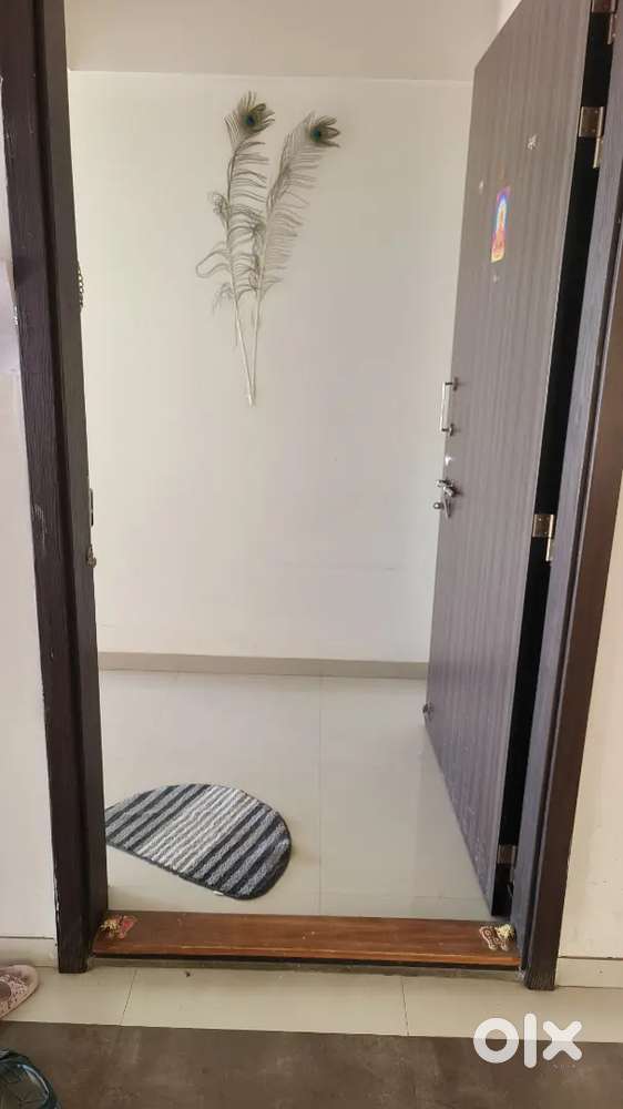 2BHK specious flat from 1 Nov for Family/couples