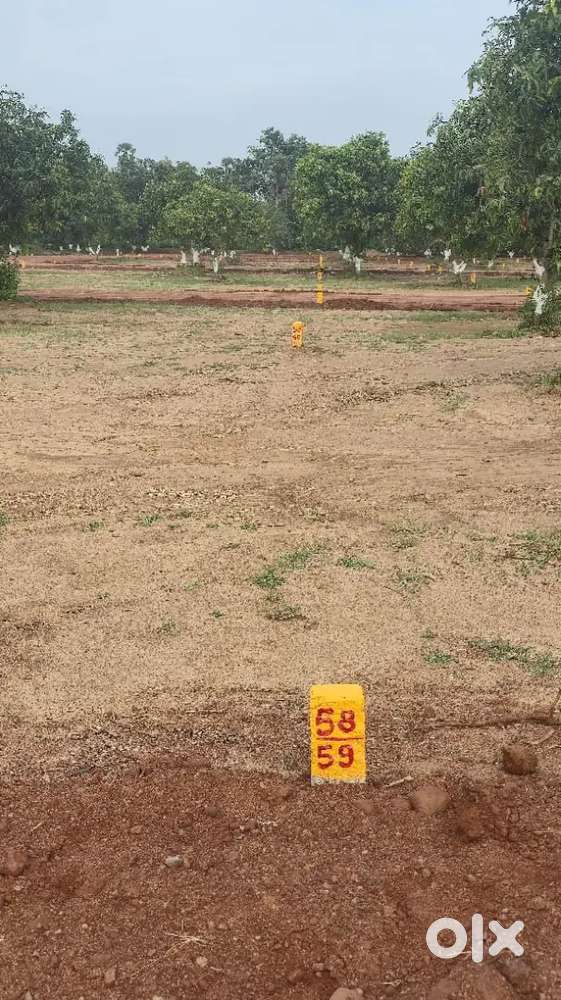 2500 per square Bhogapuram international airport
