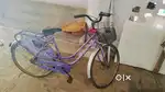 TATA Cycle ( Lady Bird)