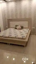 Fully furnished 3+1 BHK two kanal sector 18 D chandigarh
