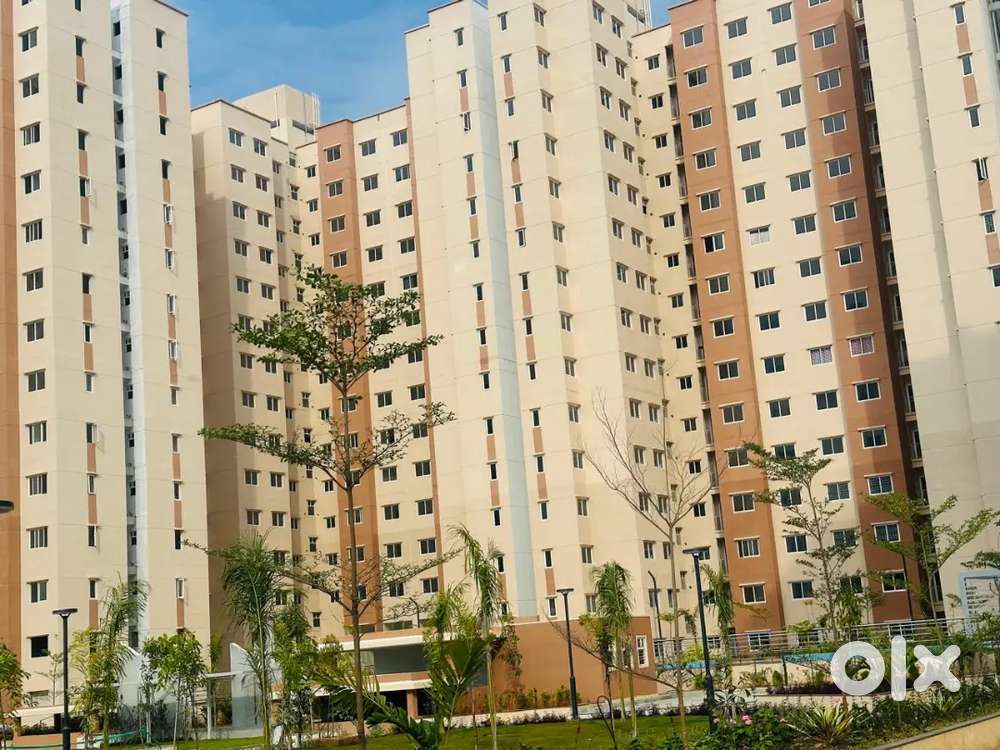 Single room for working professional