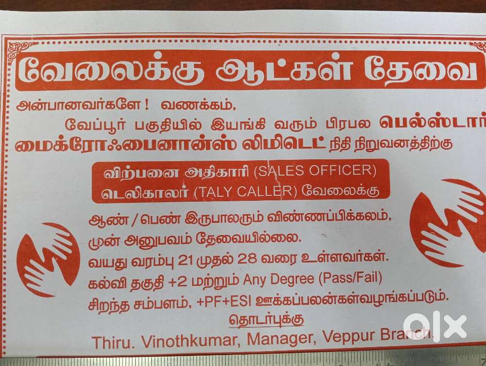 SALES & COLLECTION WORK