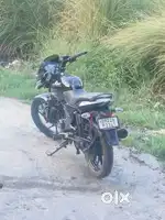 Pulsar 125 4month old