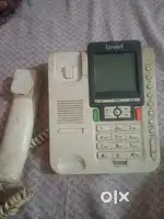 Telephone (beetel?