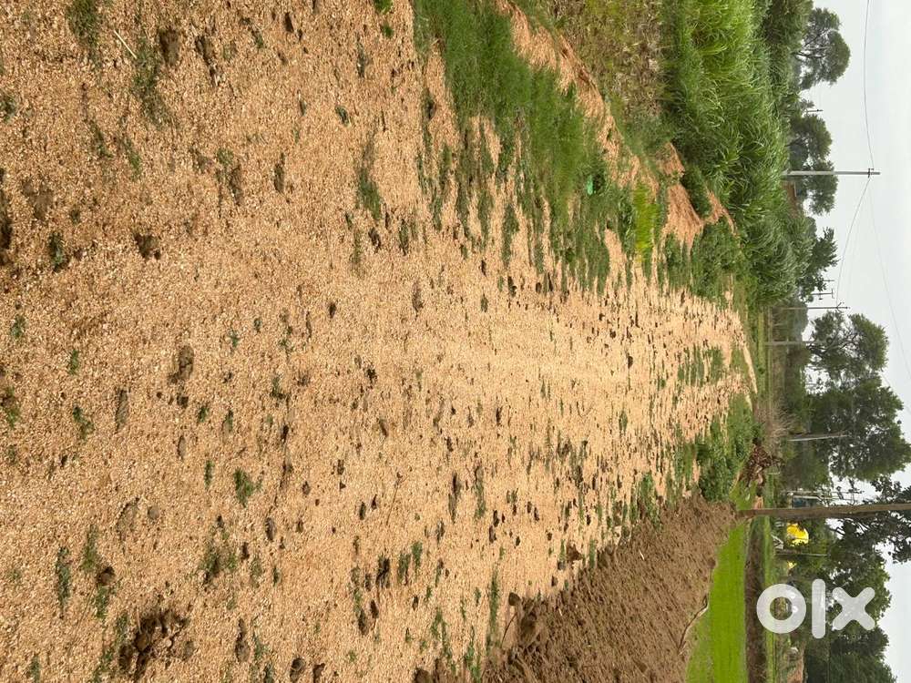 20 Guntas Farm Land for Sale near KONDAPOCHAMMA SAGAR DAM