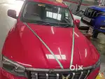 Self Drive cars available