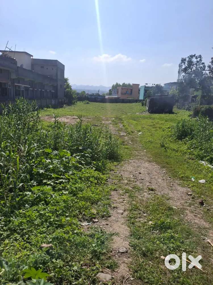 Commercial land in selaqui