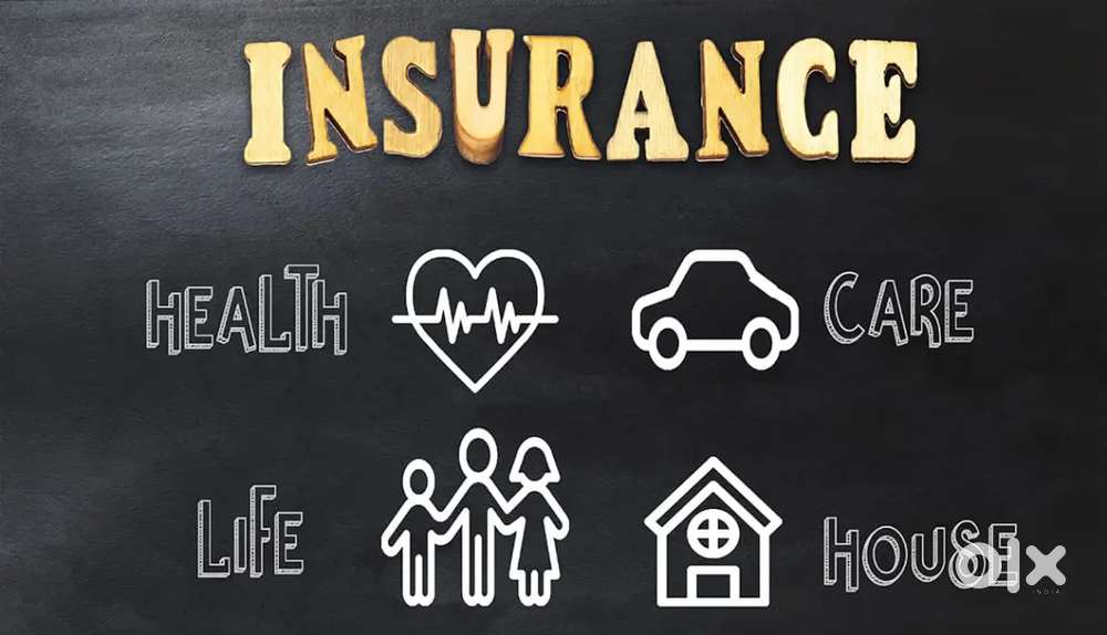 Vehicle insurance