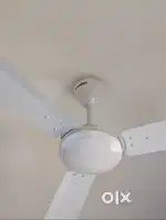 Crompton Fan