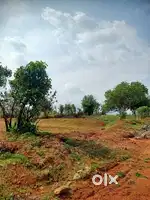 9 Cent House plot for Sale in Elappully, Palakkad