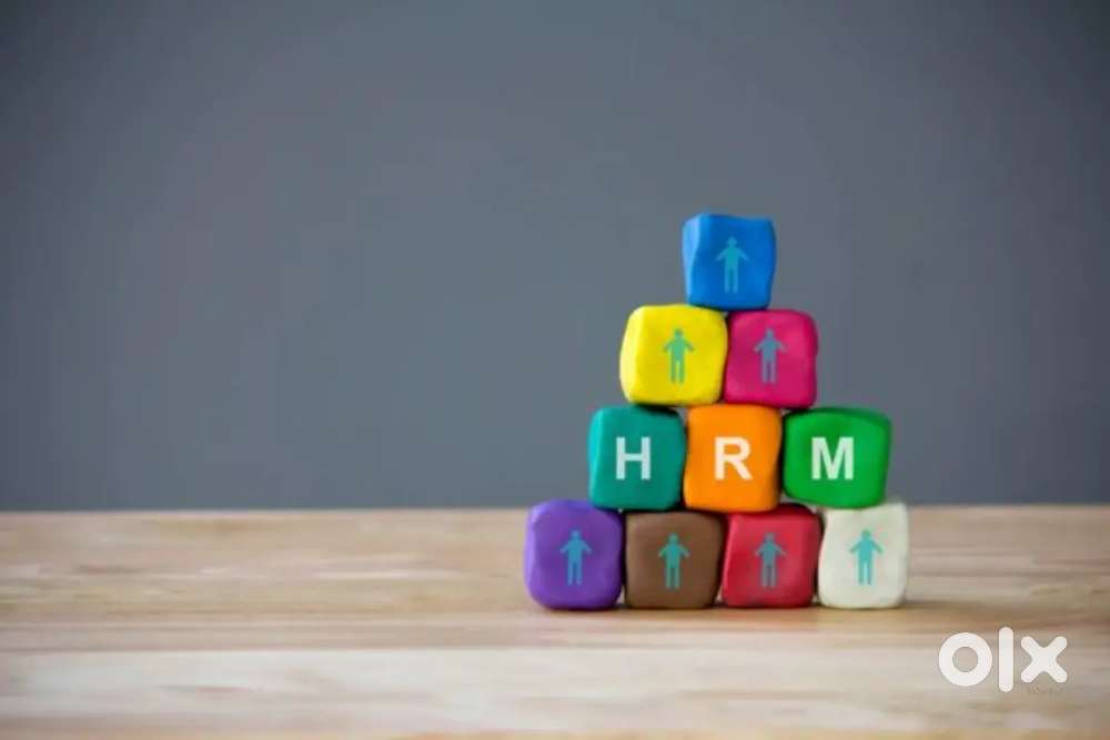 Sales Executive, Sales Manager&Team Leader