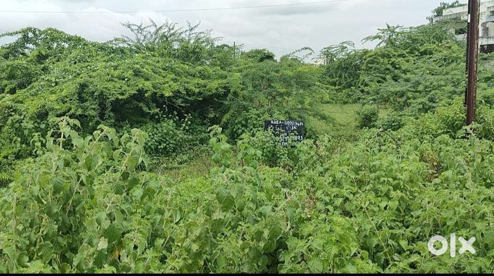 5000 Sqft open plot available for rent at Surat-Dhule Highway, Navapur