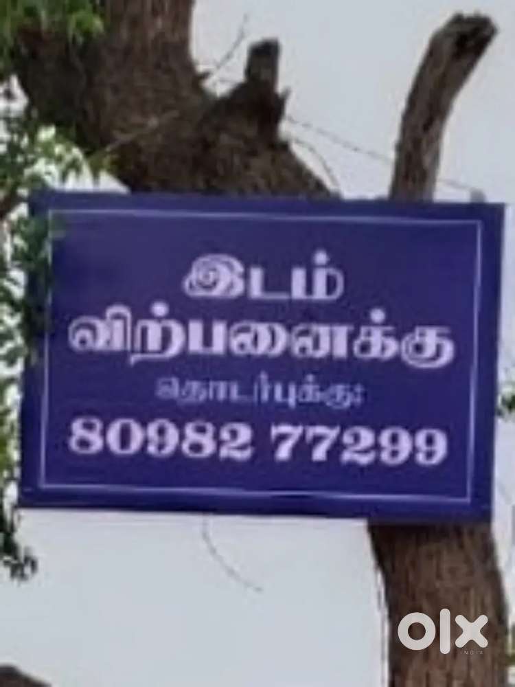 Land at needur - anathandavapuram