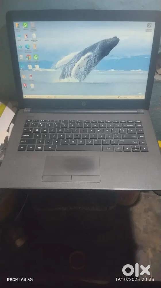 Hp laptop 4gb ram 256 gb ssd amd Prosser
